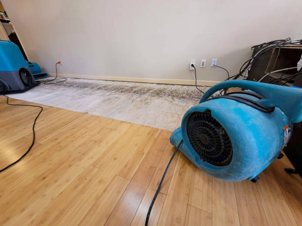Professional Basement Flood Cleanup technician working in Pewaukee, WI